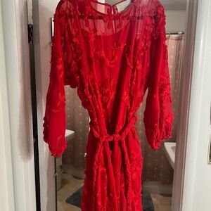 Anthropology Red Appliqué Lace Mini Dress